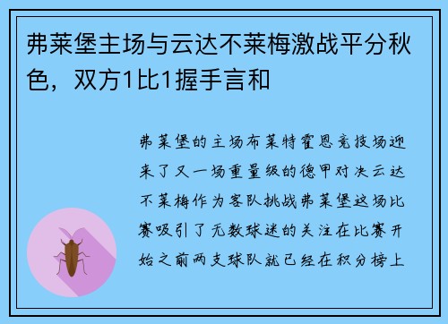 弗莱堡主场与云达不莱梅激战平分秋色，双方1比1握手言和