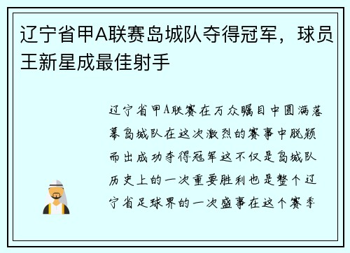辽宁省甲A联赛岛城队夺得冠军，球员王新星成最佳射手